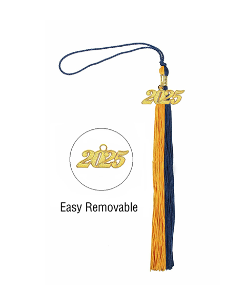 2025 Graduation Tassel, 2025 Graduation Cap Tassel, 2025 Tassel With 2025 Year Gold Date Charms for Graduation Cap