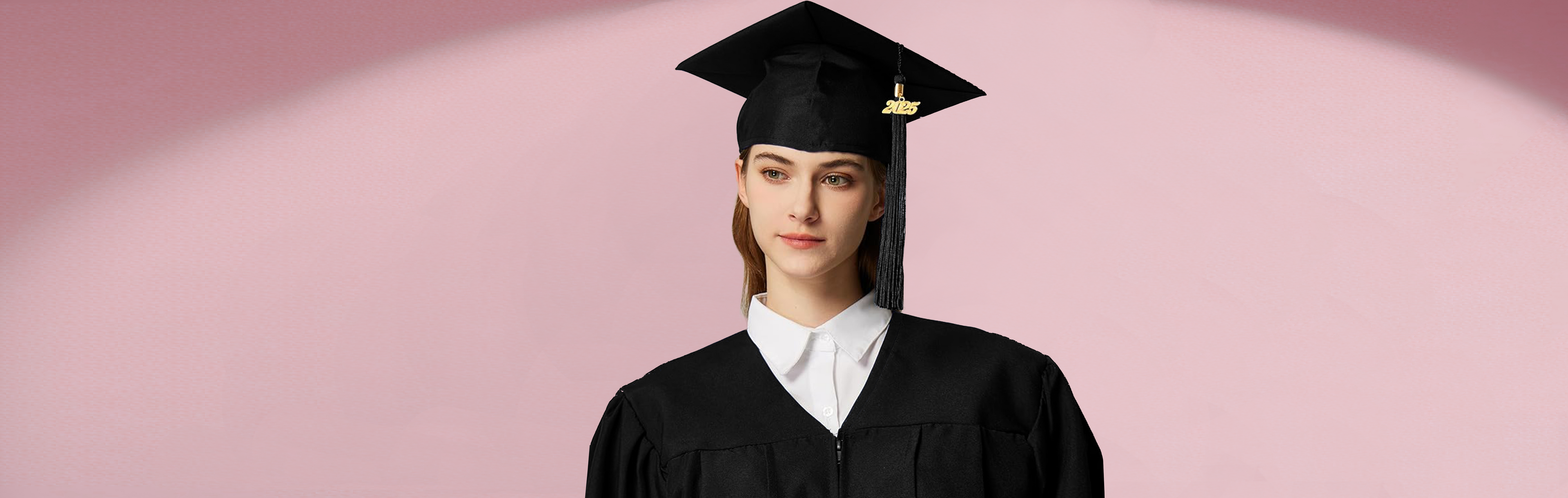 Bachelor Degree