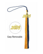 Unisex Matte Graduation Cap & Gown with Two-Color Tassel 2026 Year Charm