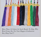 Graduation Tassel with Year Charm 2024/2025 For Cap and Gown Rich Color