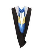 MyGradDay Unisex Master Graduation Gown Cap and Hood Master Regalia with 2026 Tassel
