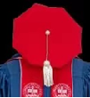 Customization Doctoral Graduation Gown and tam dedicated