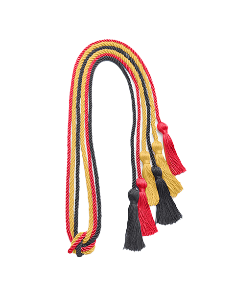 3Pcs Graduation Honor Cord Single Polyester Honor Cord
