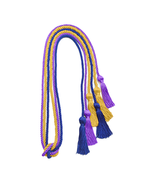3Pcs Graduation Honor Cord Single Polyester Honor Cord