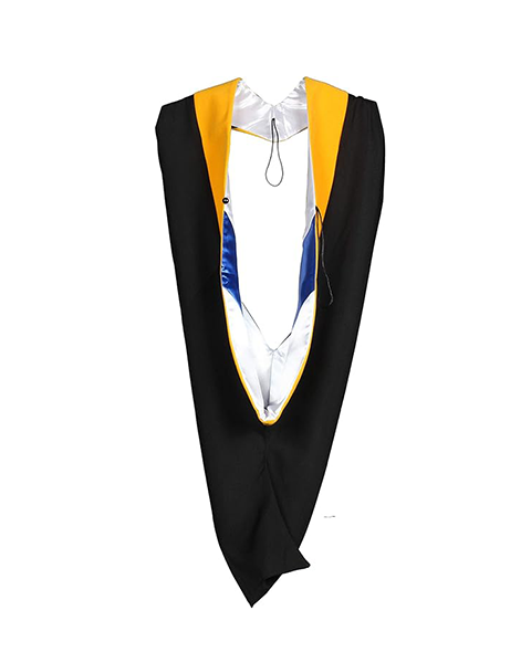 MyGradDay Unisex Master Graduation Gown Cap and Hood Master Regalia with 2026 Tassel