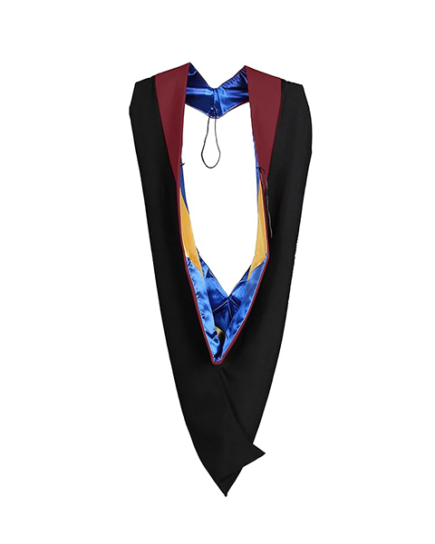 MyGradDay Unisex Master Graduation Gown Cap and Hood Master Regalia with 2026 Tassel