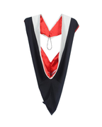 MyGradDay Unisex Master Graduation Gown Cap and Hood Master Regalia with 2026 Tassel